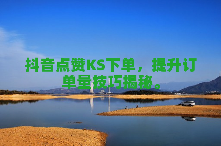 抖音点赞KS下单，提升订单量技巧揭秘。