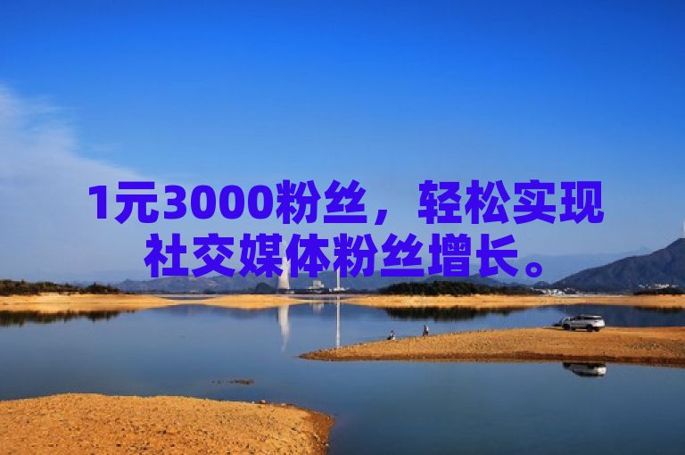1元3000粉丝，轻松实现社交媒体粉丝增长。