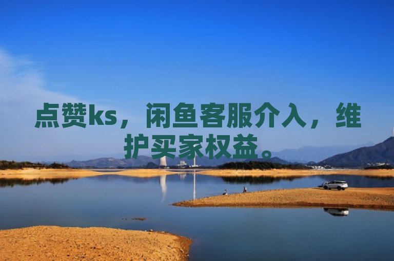 点赞ks，闲鱼客服介入，维护买家权益。