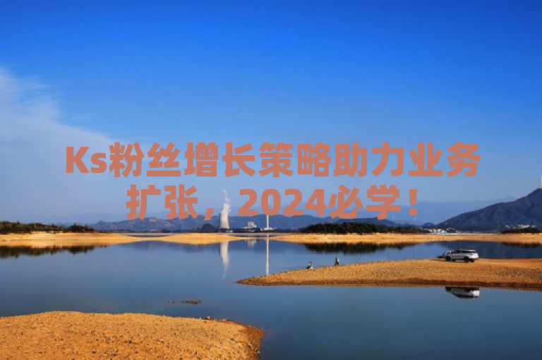 Ks粉丝增长策略助力业务扩张，2024必学！