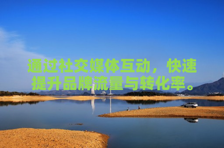 通过社交媒体互动，快速提升品牌流量与转化率。