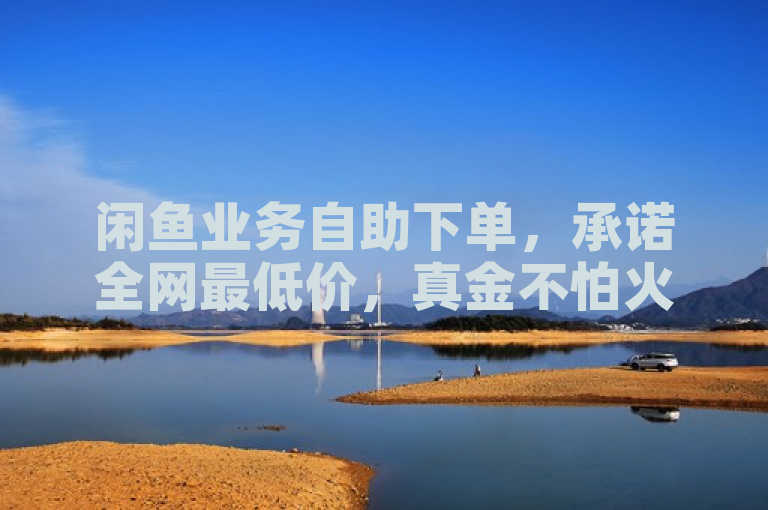 闲鱼业务自助下单，承诺全网最低价，真金不怕火炼。