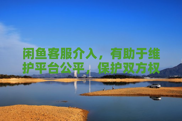闲鱼客服介入，有助于维护平台公平，保护双方权益。
