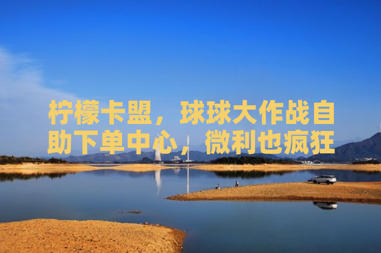 柠檬卡盟，球球大作战自助下单中心，微利也疯狂！