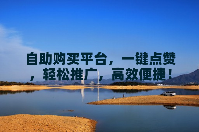 自助购买平台，一键点赞，轻松推广，高效便捷！