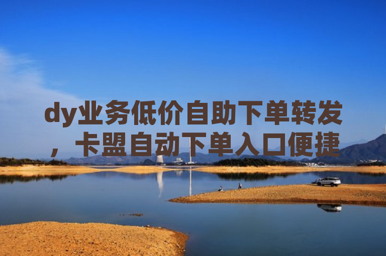 dy业务低价自助下单转发，卡盟自动下单入口便捷。
