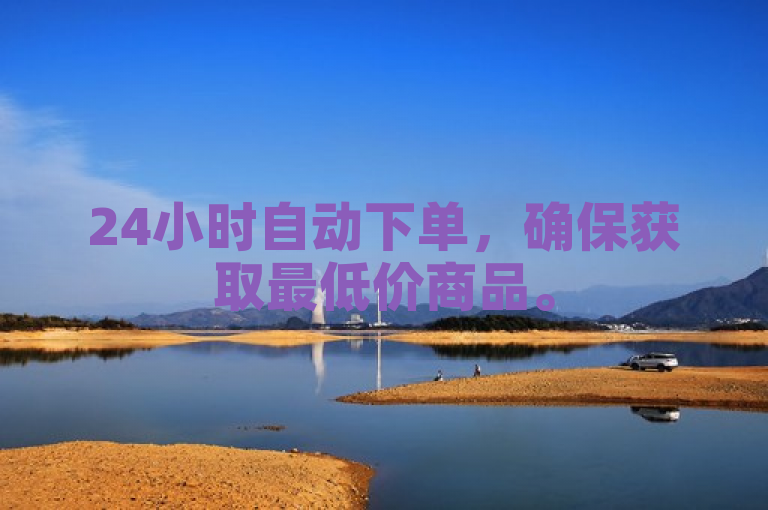 24小时自动下单，确保获取最低价商品。