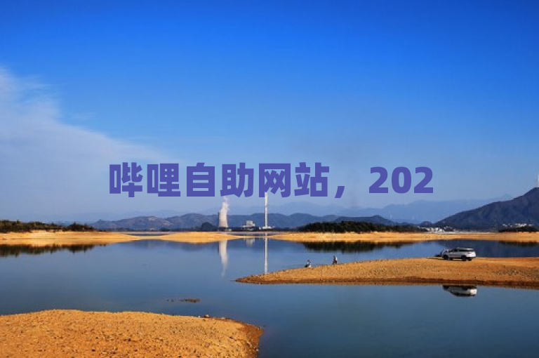 哔哩自助网站，2025必学的一站式业务管理平台独家揭秘！