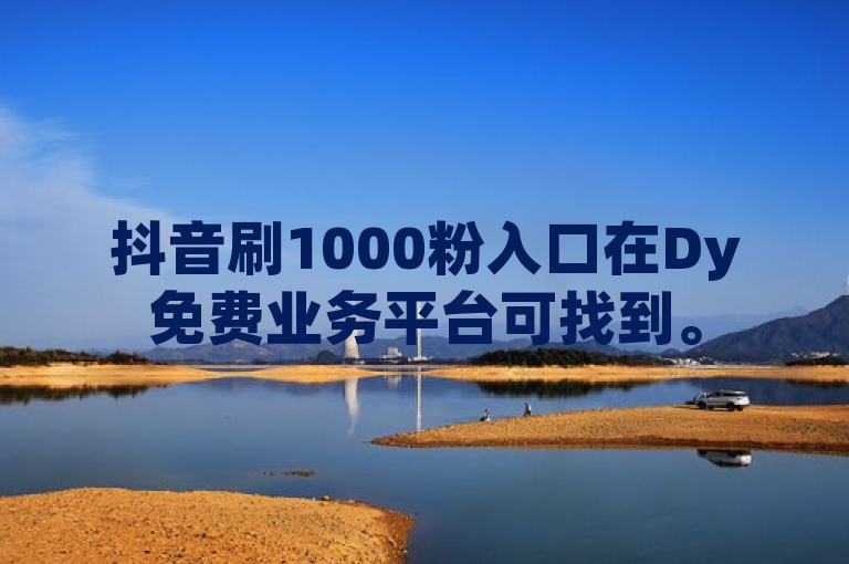 抖音刷1000粉入口在Dy免费业务平台可找到。