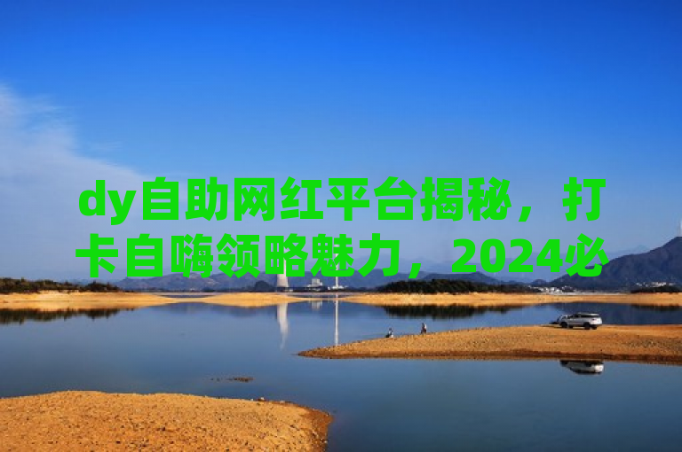 dy自助网红平台揭秘，打卡自嗨领略魅力，2024必学！