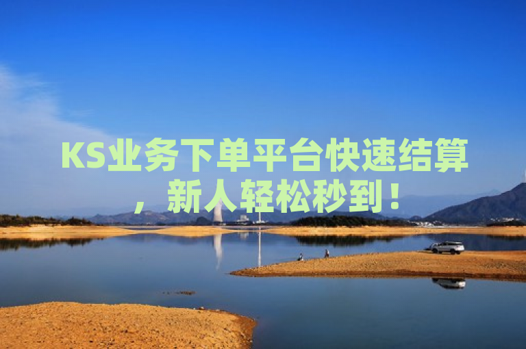 KS业务下单平台快速结算，新人轻松秒到！
