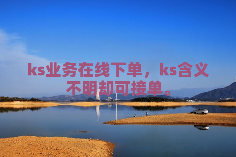 ks业务在线下单，ks含义不明却可接单。