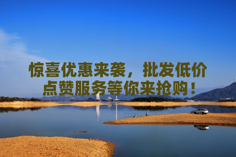 惊喜优惠来袭，批发低价点赞服务等你来抢购！