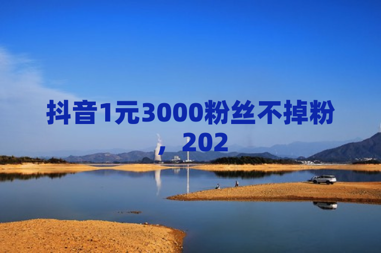 抖音1元3000粉丝不掉粉，2025必学独家揭秘！