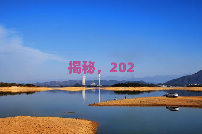 揭秘，2025必学，哪里能购买廉价的dy作品点赞！