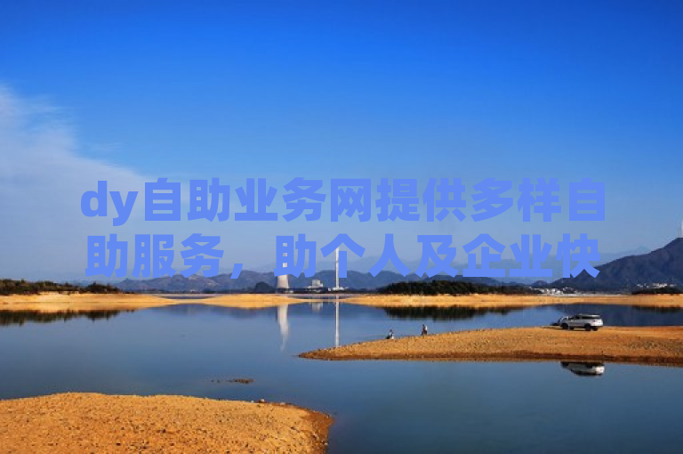 dy自助业务网提供多样自助服务，助个人及企业快速发展。