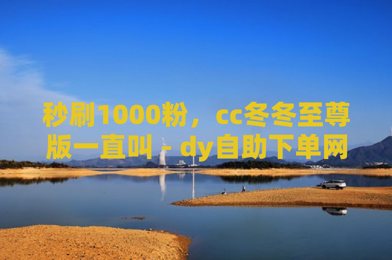 秒刷1000粉，cc冬冬至尊版一直叫 - dy自助下单网 - dy24小时在线下单网站