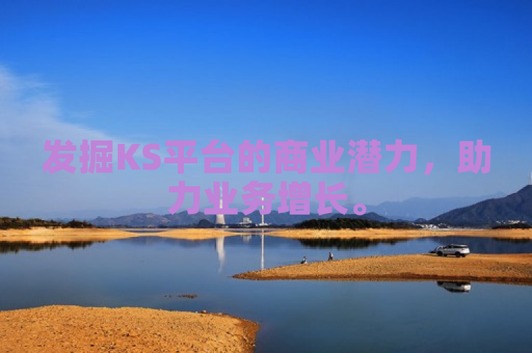 发掘KS平台的商业潜力，助力业务增长。