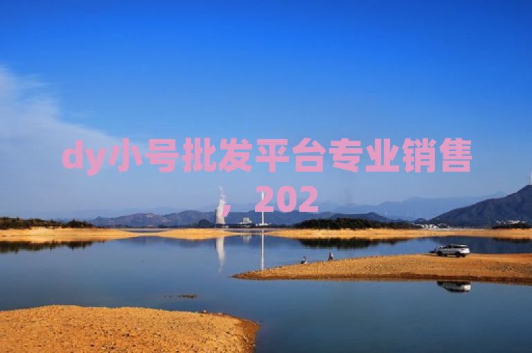dy小号批发平台专业销售，2025必学独家揭秘！