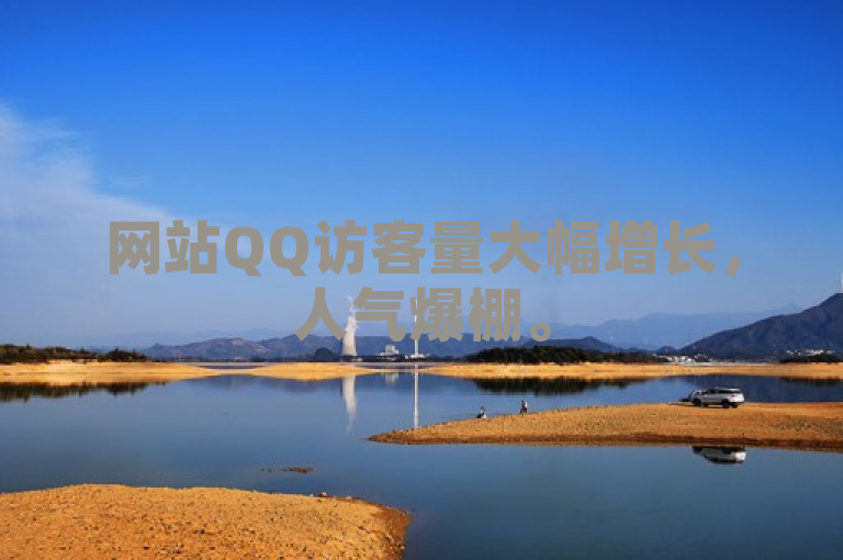 网站QQ访客量大幅增长，人气爆棚。