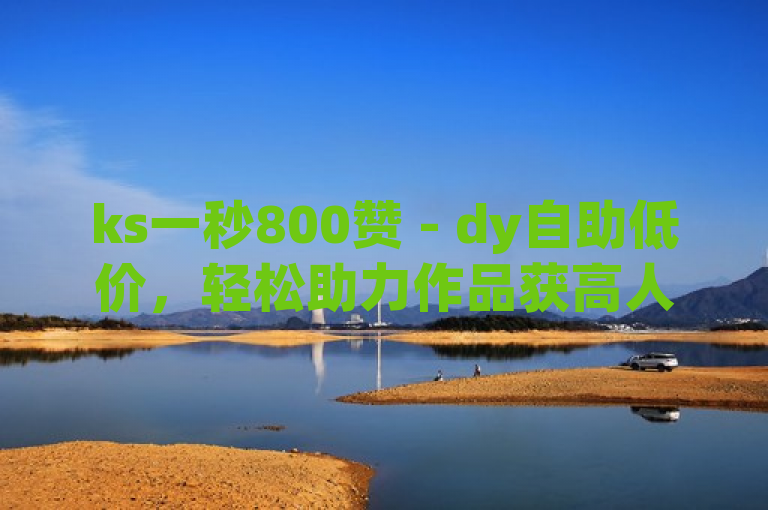 ks一秒800赞 - dy自助低价，轻松助力作品获高人气。