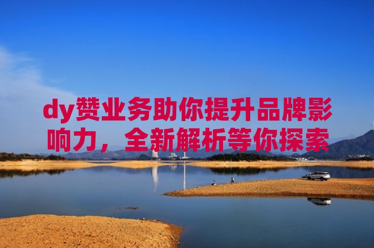 dy赞业务助你提升品牌影响力，全新解析等你探索！