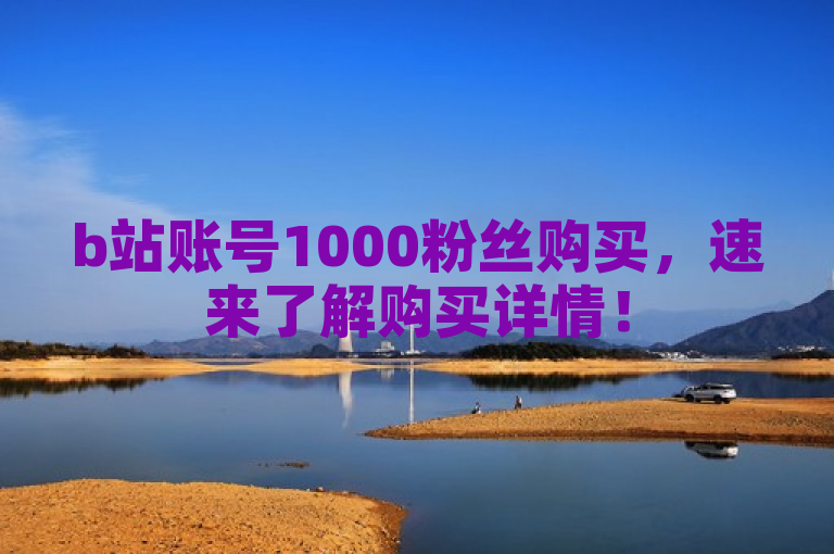 b站账号1000粉丝购买，速来了解购买详情！