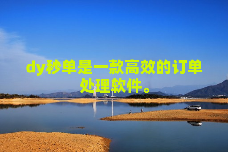 dy秒单是一款高效的订单处理软件。