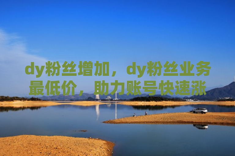 dy粉丝增加，dy粉丝业务最低价，助力账号快速涨粉。