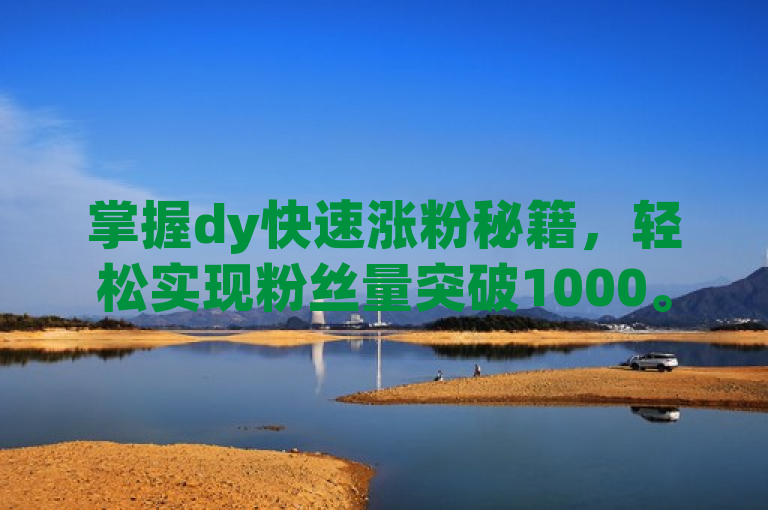 掌握dy快速涨粉秘籍，轻松实现粉丝量突破1000。