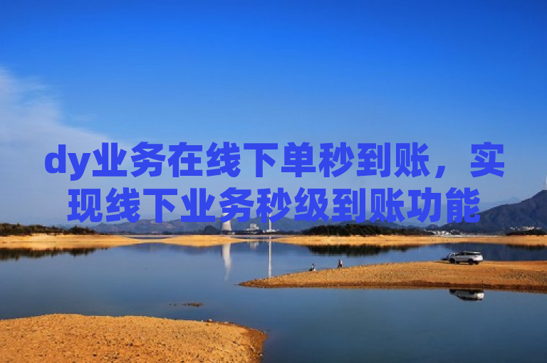 dy业务在线下单秒到账，实现线下业务秒级到账功能。