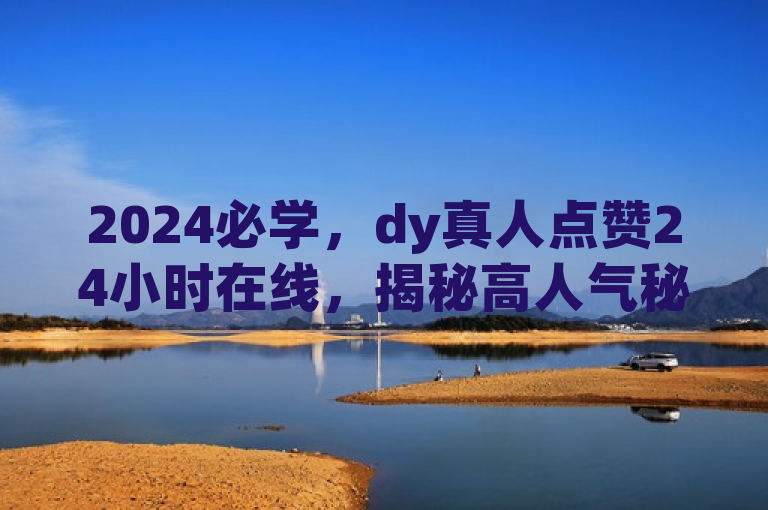 2024必学，dy真人点赞24小时在线，揭秘高人气秘诀！