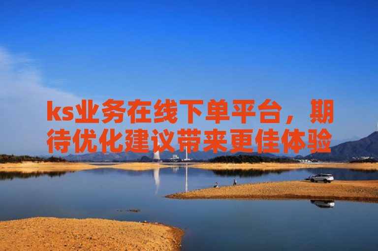 ks业务在线下单平台，期待优化建议带来更佳体验。
