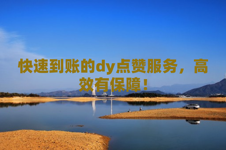快速到账的dy点赞服务，高效有保障！