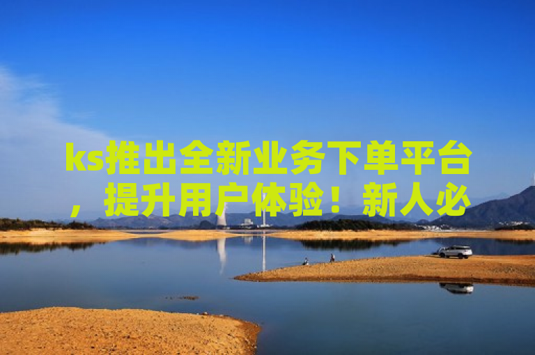 ks推出全新业务下单平台，提升用户体验！新人必备！