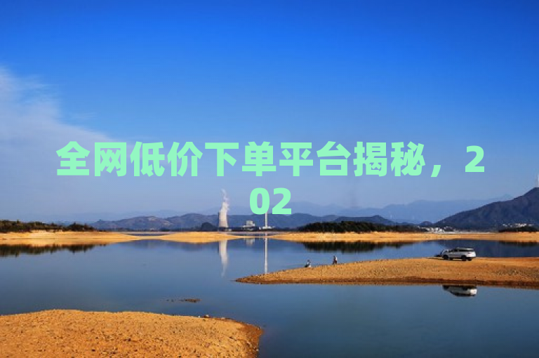 全网低价下单平台揭秘，2025必学最优惠下单方法！