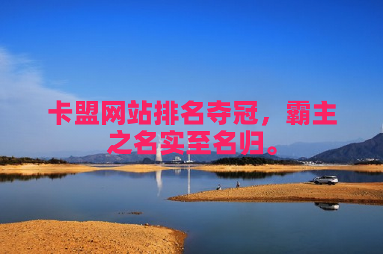卡盟网站排名夺冠，霸主之名实至名归。