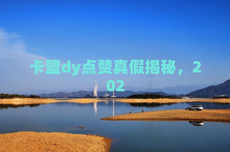 卡盟dy点赞真假揭秘，2025必学真实性解析！