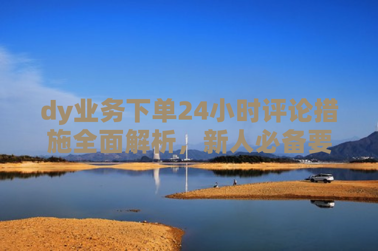 dy业务下单24小时评论措施全面解析，新人必备要点！