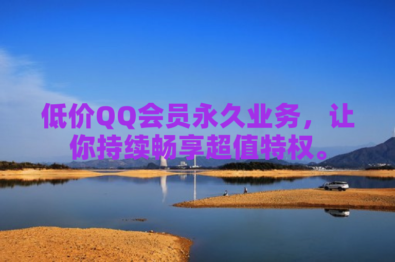 低价QQ会员永久业务，让你持续畅享超值特权。