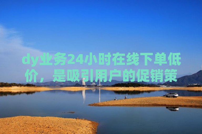 dy业务24小时在线下单低价，是吸引用户的促销策略。